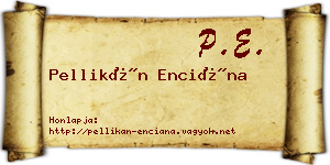 Pellikán Enciána névjegykártya